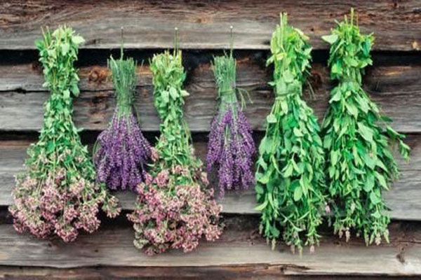 برندسازی گیاهان دارویی