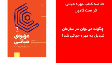 خلاصه کتاب مهره حیاتی از ست گادین